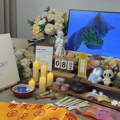 宠物家长客户见证
