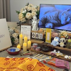 宠物家长客户见证