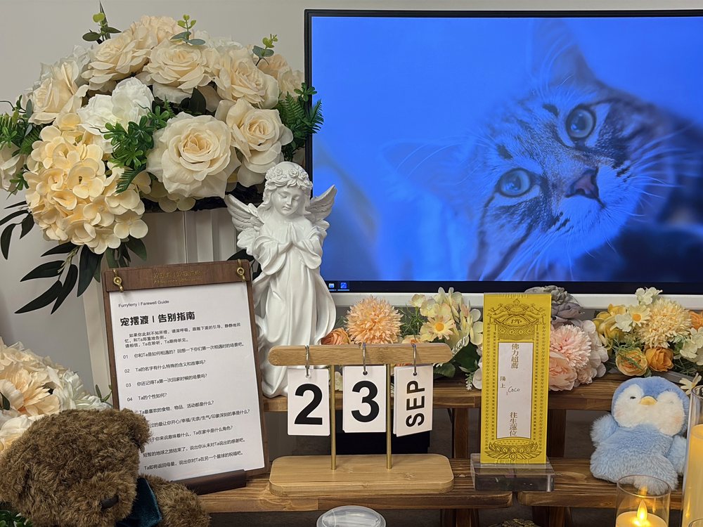 嘉兴宠物殡葬单独火化告别区